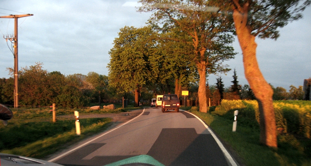 Duitsland Elly (55)